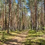 Cozy Summer House Meex - 5km From Voru
