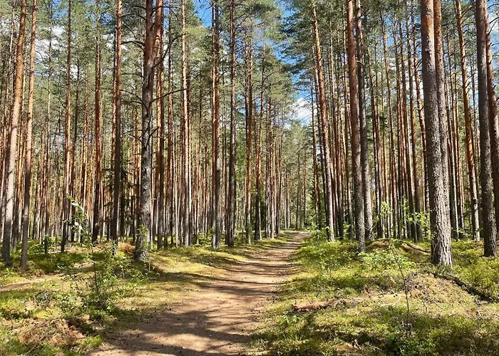 Cozy Summer House Meex - 5Km From Voru